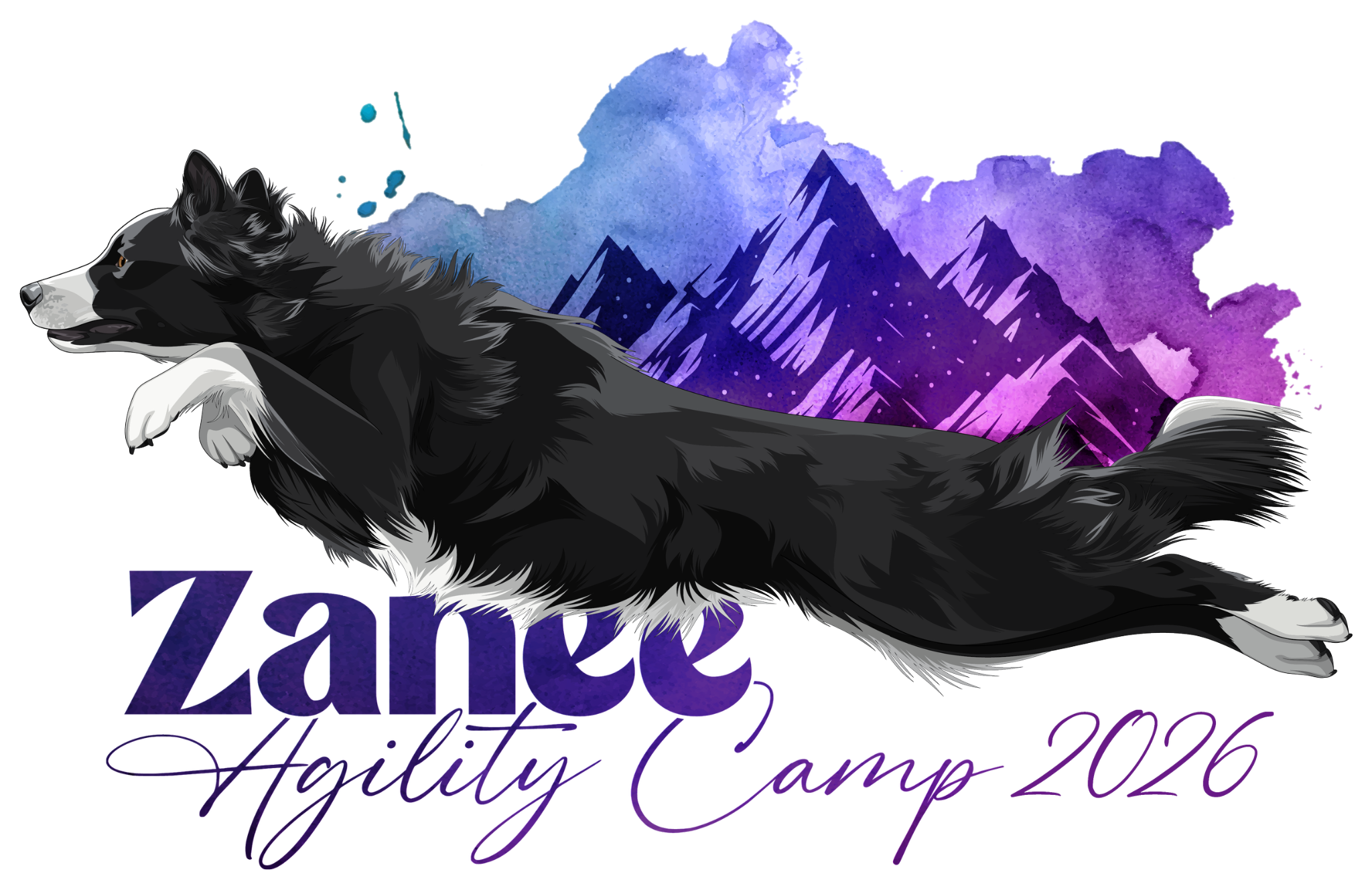 Zanee Agility Camp 2026 | Run Wild Dog Sports