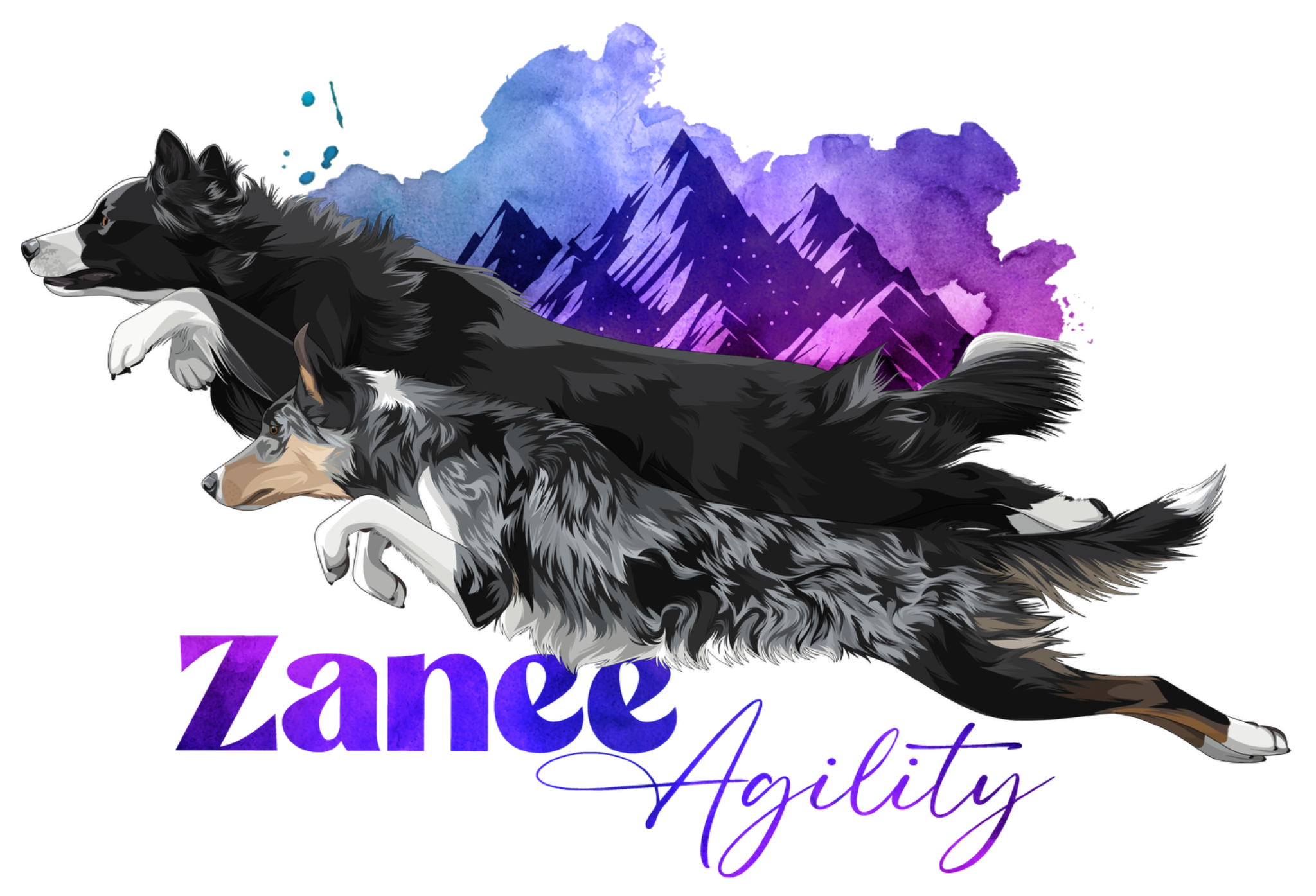 Zanee Agility
