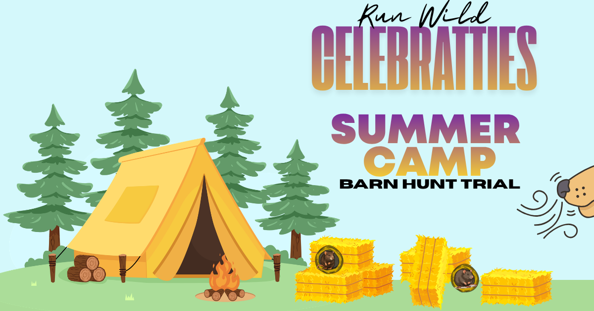 Barn Hunt camping set up