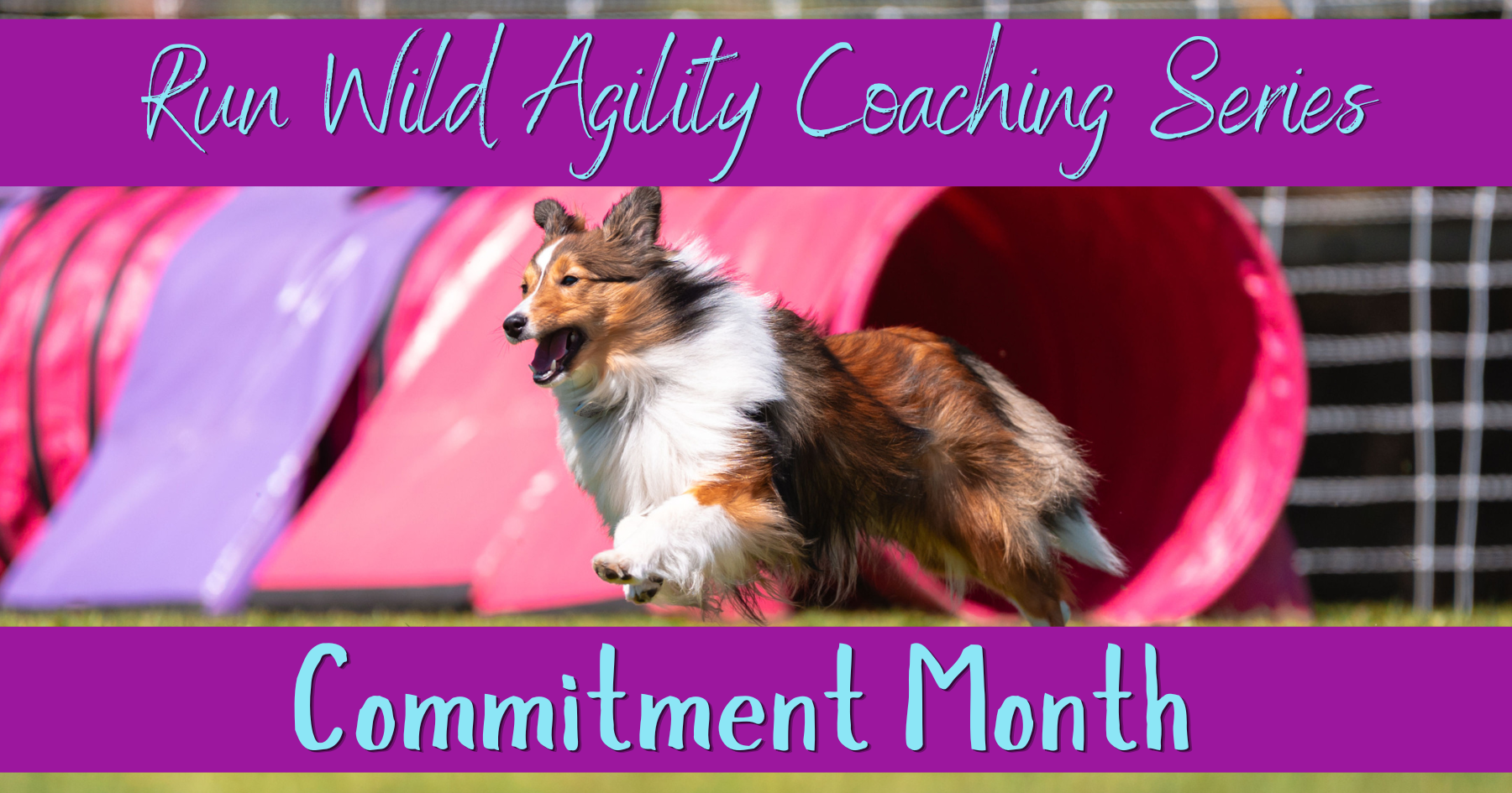 commitment logo